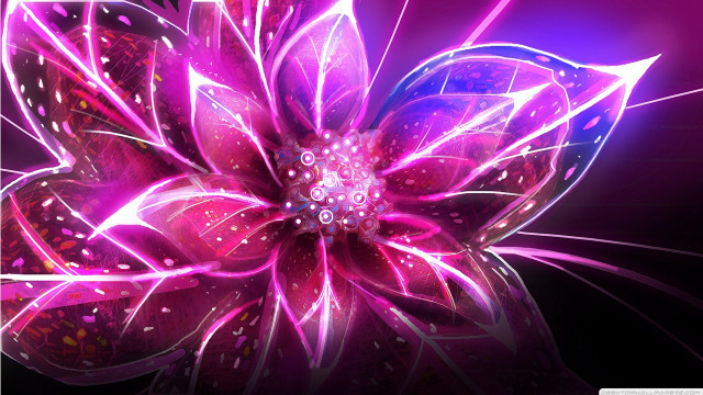 Purple flower glowing pink petals free wallpaper for desktop - medium preview image