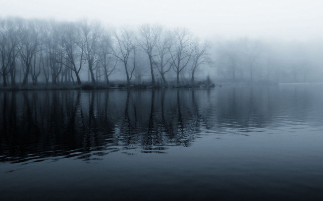Lake trees fog water reflections #4 free wallpaper for desktop - medium preview image