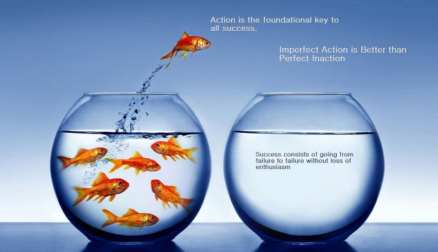 Goldfish jumping bowl quote water free wallpaper for desktop - medium preview image