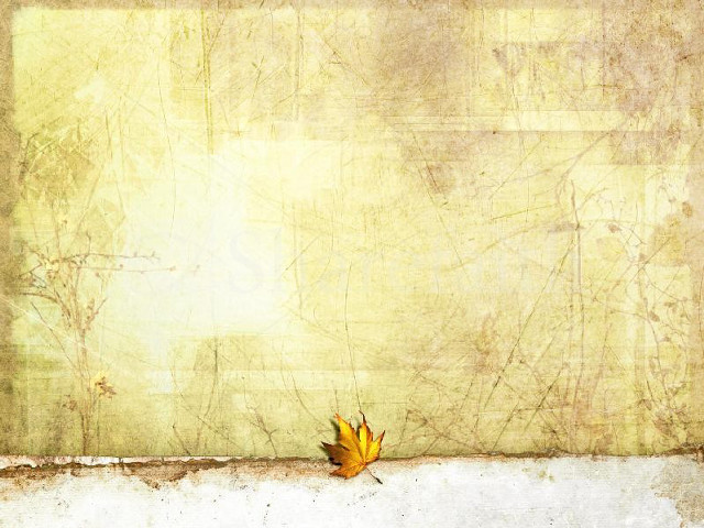 Leaf ledged grunge yellow faded free wallpaper for desktop - medium preview image