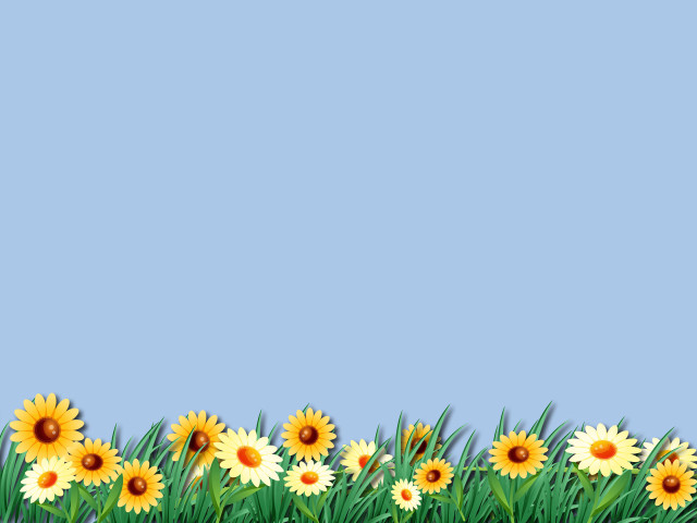 Yellow flowers blue background white free wallpaper for desktop - medium preview image