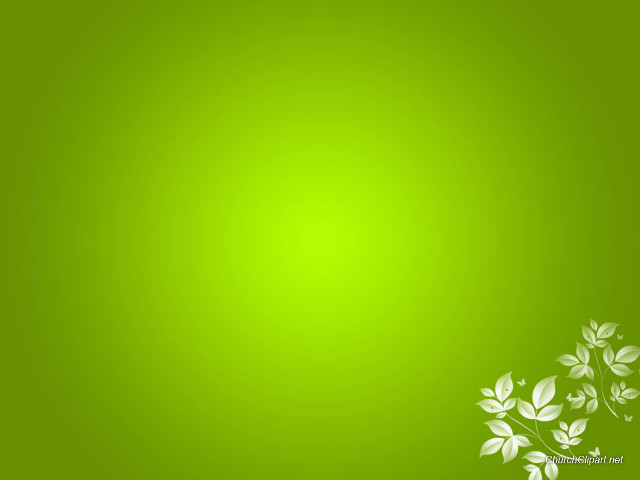 Green background white flowers top free wallpaper for desktop - medium preview image
