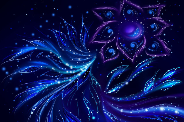 Blue bird star background blue free wallpaper for desktop - medium preview image