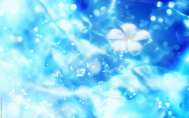 Flower blue water droplets bokeh free wallpaper for desktop - medium preview image