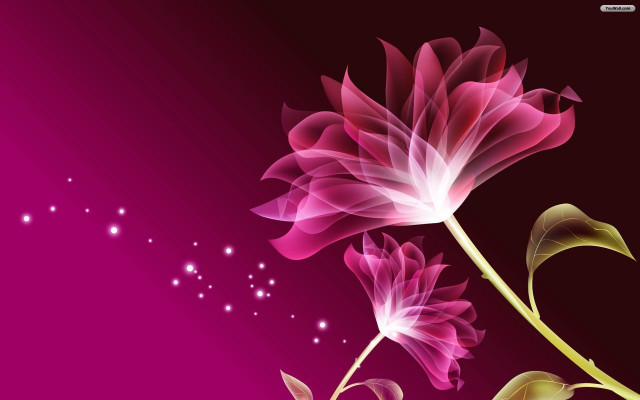 Pink flower green stem purple #2 free wallpaper for desktop - medium preview image