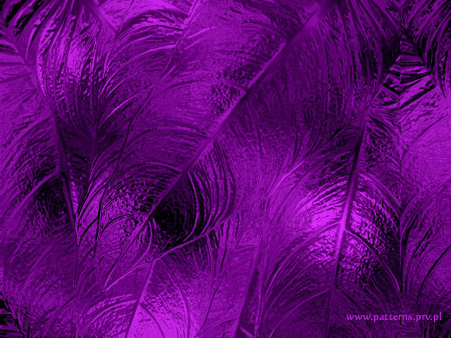 Purple background feathers black background free wallpaper for desktop - medium preview image