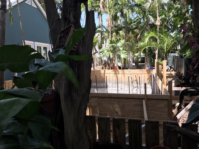 Wooden deck trees plants backyard free wallpaper for desktop - medium preview image