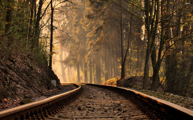 Train track forest trees foggy free wallpaper for desktop - medium preview image