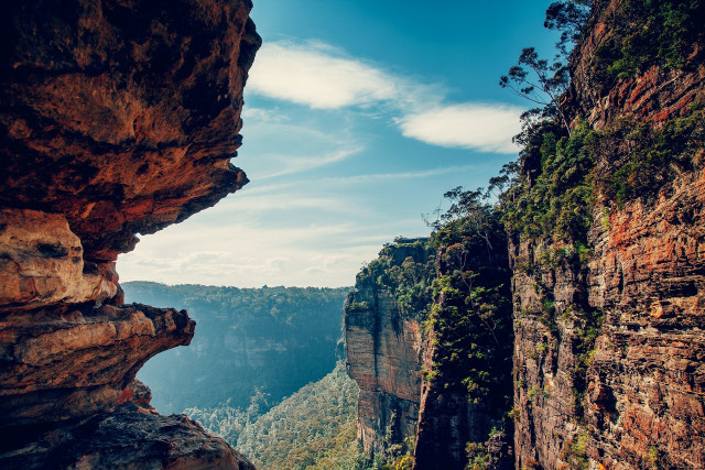 Cliff view cliff face trees free wallpaper for desktop - medium preview image