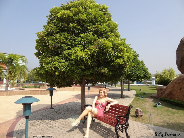 Woman sitting bench park tree free wallpaper for desktop - medium preview image
