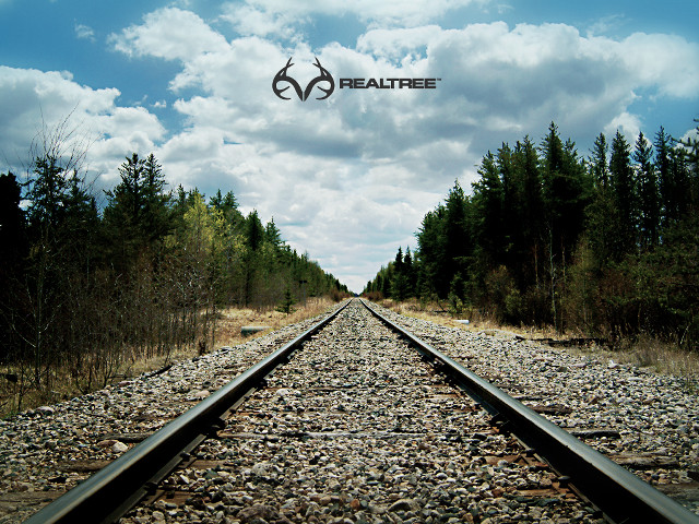 Train track sky trees beautee free wallpaper for desktop - medium preview image