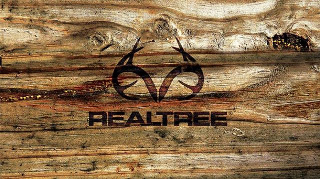 Wood logo closeup tree trunk free wallpaper for desktop - medium preview image