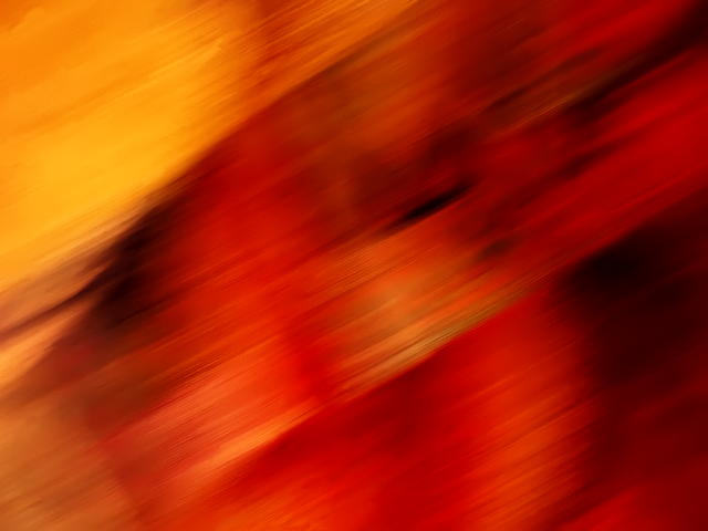 Blurry red yellow cat back free wallpaper for desktop - medium preview image