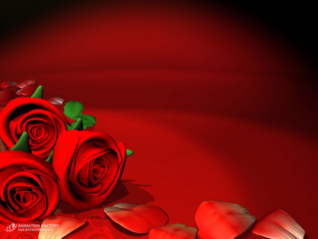 Red roses table heart shaped free wallpaper for desktop - medium preview image