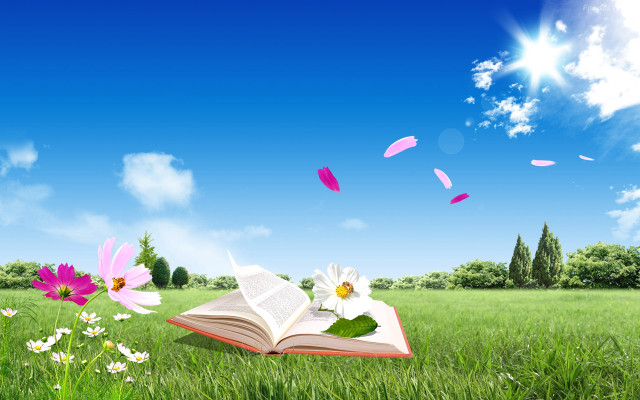 Book flowers grass sky clouds #3 free wallpaper for desktop - medium preview image