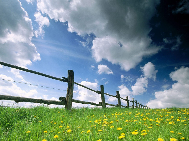 Field fence flowers grass cloudy free wallpaper for desktop - medium preview image