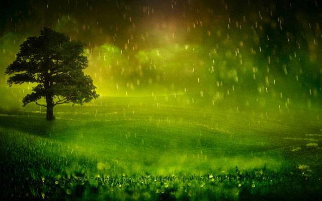 Tree rain field green grass free wallpaper for desktop - medium preview image