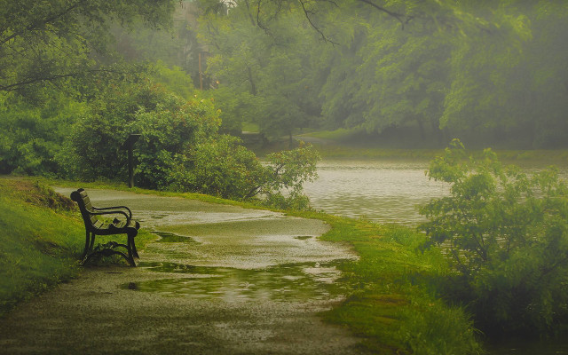 Rainy forest bench path river free wallpaper for desktop - medium preview image