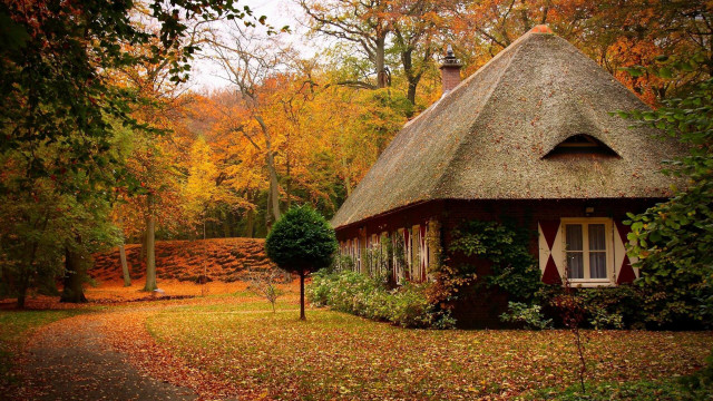 Small house woods autumn leaves free wallpaper for desktop - medium preview image