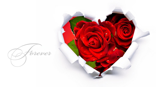 Heart rose forever romanticism digital free wallpaper for desktop - medium preview image