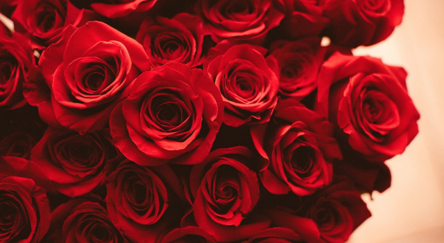 Red roses vase tabletop arrangement free wallpaper for desktop - medium preview image