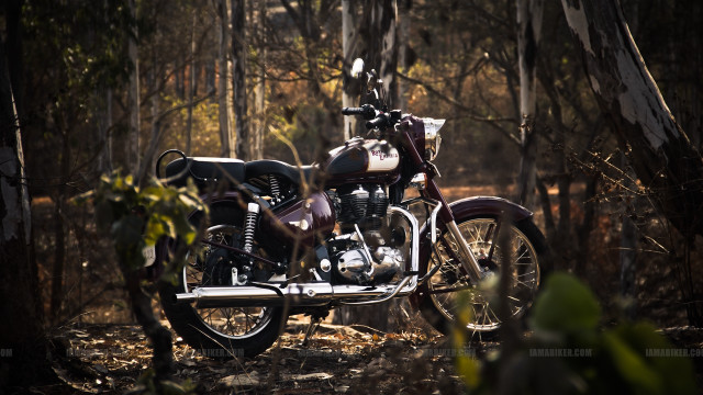 Motorcycle parked woods near trees free wallpaper for desktop - medium preview image