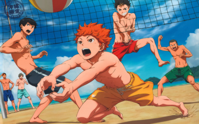 Beach volleyball game men playing free wallpaper for desktop - medium preview image