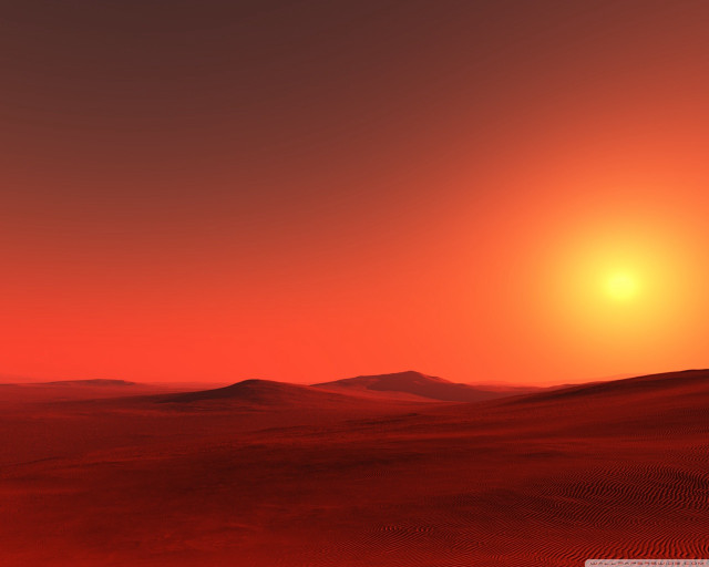 Red sunset desert lone tree free wallpaper for desktop - medium preview image