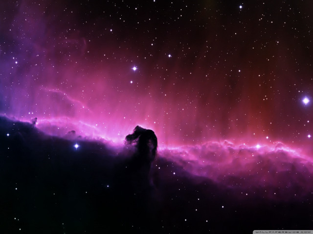 Purple red space stars horse free wallpaper for desktop - medium preview image