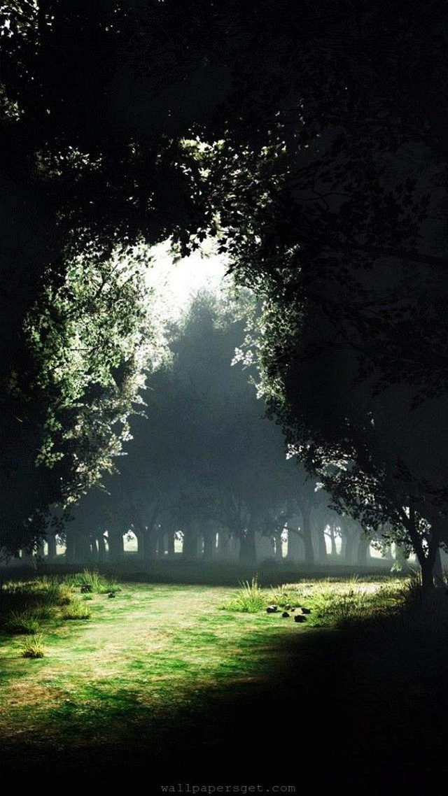 Dark forest green field night free wallpaper for mobile - medium preview image