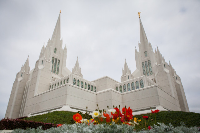 Large white church steeple flowers free wallpaper for desktop - medium preview image