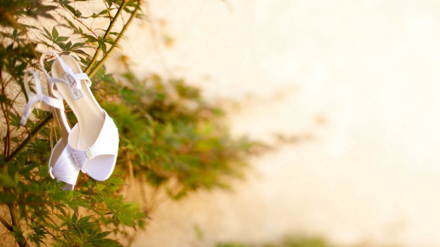 White shoes hanging tree green free wallpaper for desktop - medium preview image