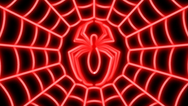 Spider web red light black free wallpaper for desktop - medium preview image