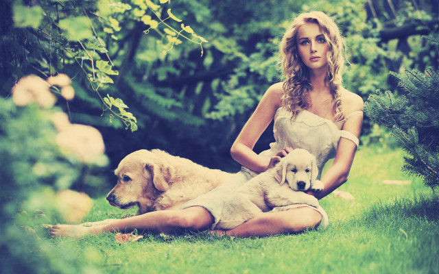 Woman sitting grass two dogs free wallpaper for desktop - medium preview image