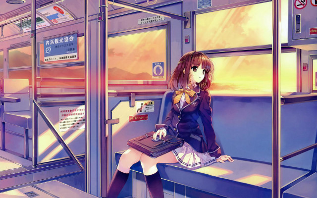 Woman sitting train seat laptop free wallpaper for desktop - medium preview image