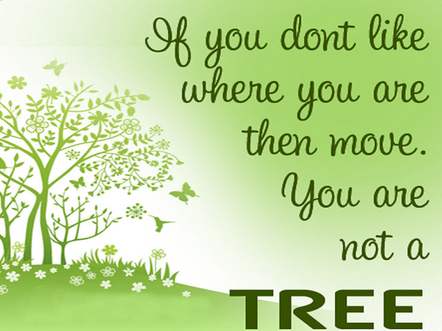 Green card tree quote image free wallpaper for desktop - medium preview image