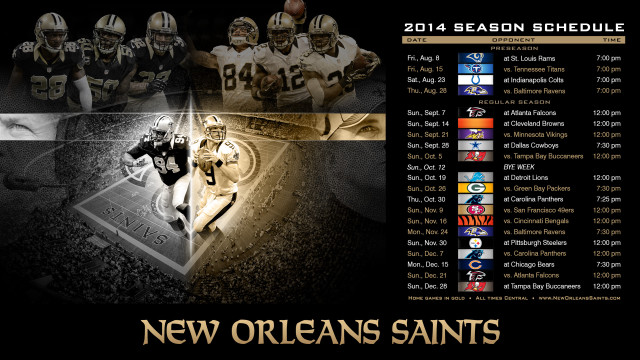 New orleans saints 2013 season free wallpaper for desktop - medium preview image