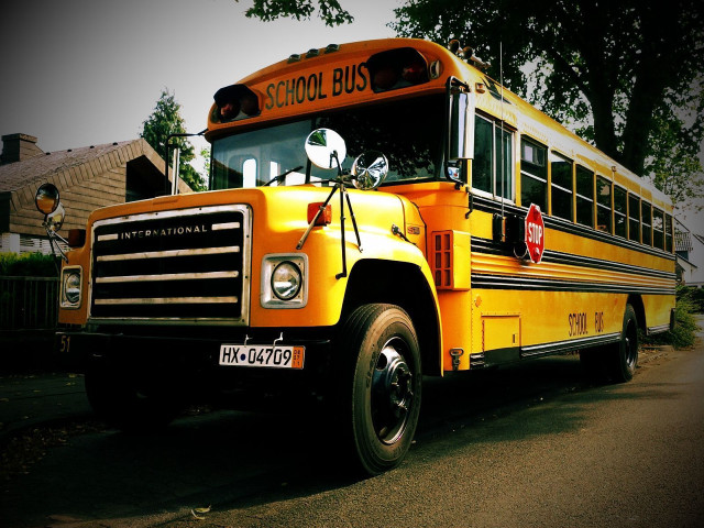 Yellow school bus road house free wallpaper for desktop - medium preview image