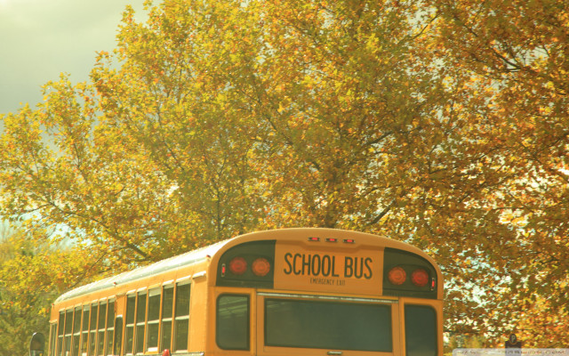School bus yellow leaves blue free wallpaper for desktop - medium preview image