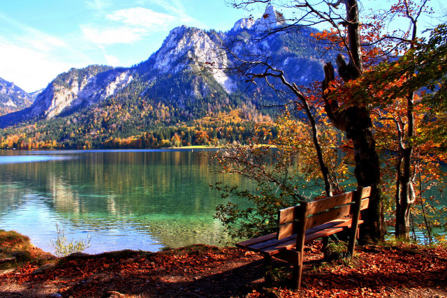 Bench lake mountains trees leaves free wallpaper for desktop - medium preview image