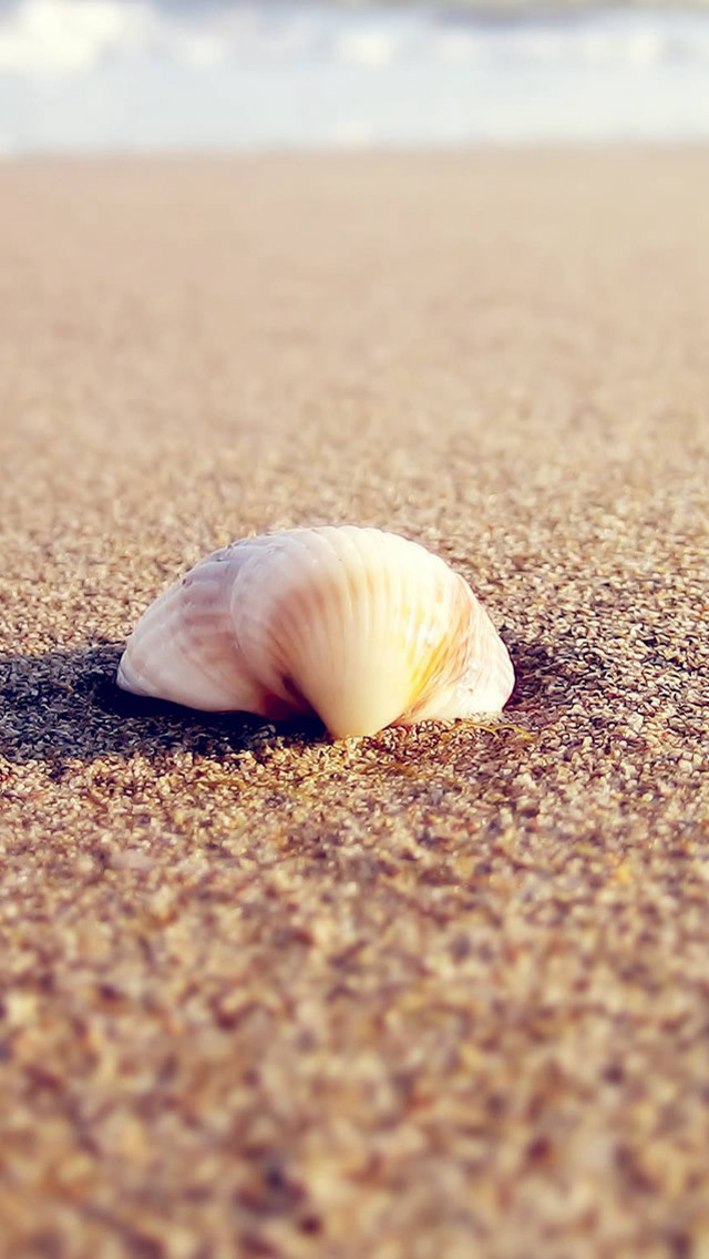 Shell beach ocean wave photorealism free wallpaper for mobile - medium preview image