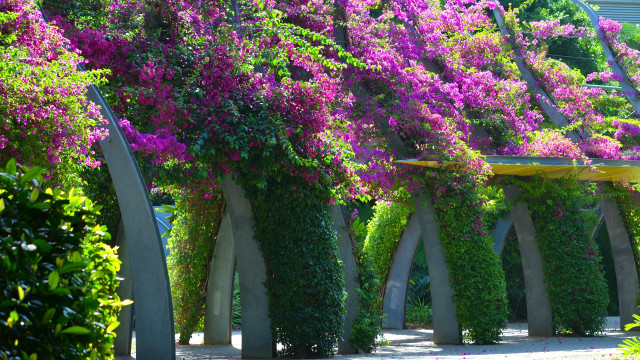 Purple flowers concrete pillars garden free wallpaper for desktop - medium preview image