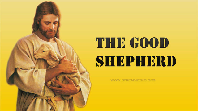 Man holding lamb good shepherd free wallpaper for desktop - medium preview image