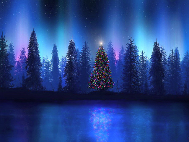 Christmas tree night lake reflection free wallpaper for desktop - medium preview image