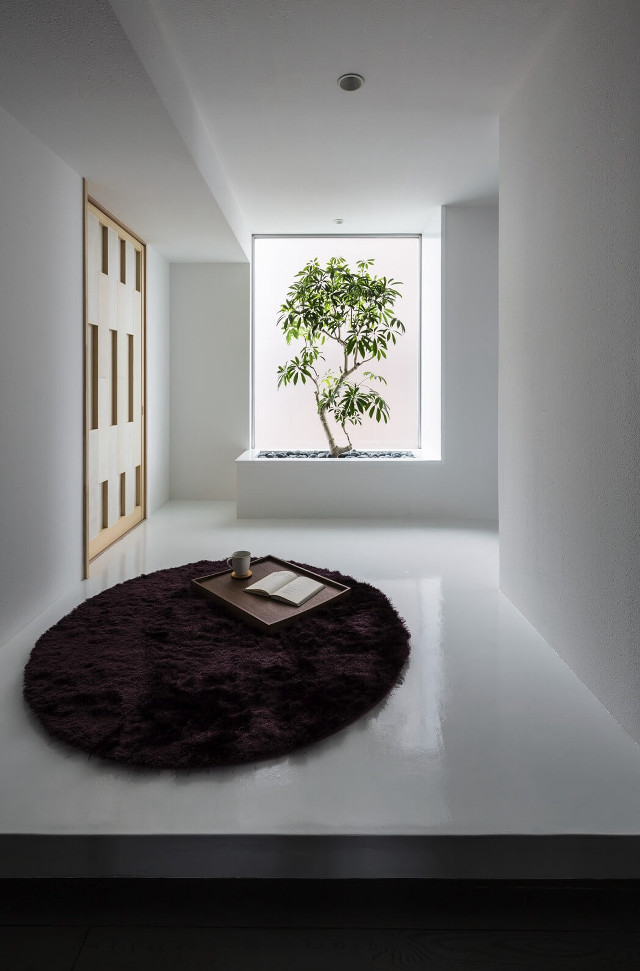 Room tree window potted plant free wallpaper for mobile - medium preview image