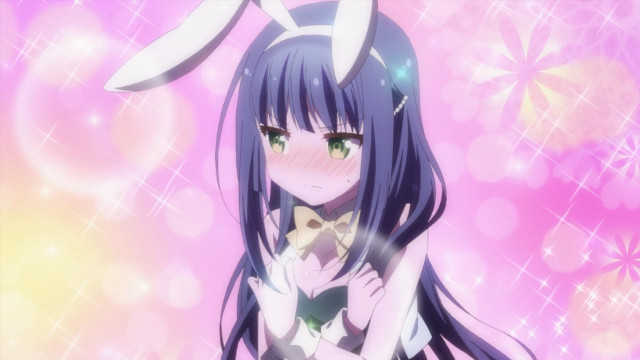 Girl long hair holding cat free wallpaper for desktop - medium preview image