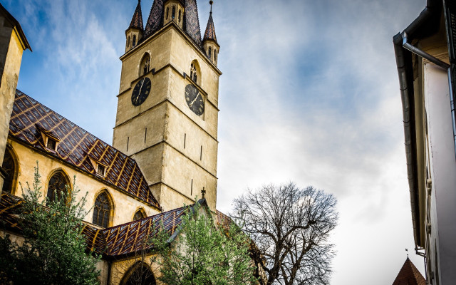 Tall building clock tree front free wallpaper for desktop - medium preview image