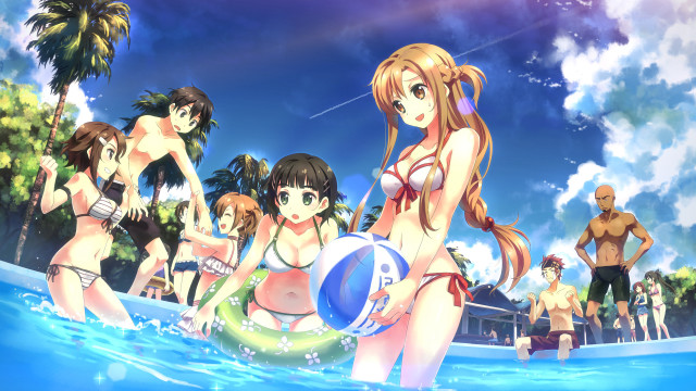 Pool party people ball water free wallpaper for desktop - medium preview image
