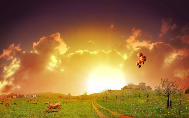 Kite flying field cows grazing free wallpaper for desktop - medium preview image