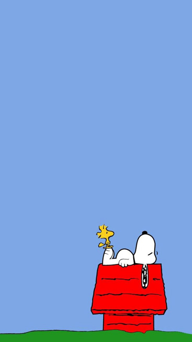 Snoopy dog red box star free wallpaper for mobile - medium preview image